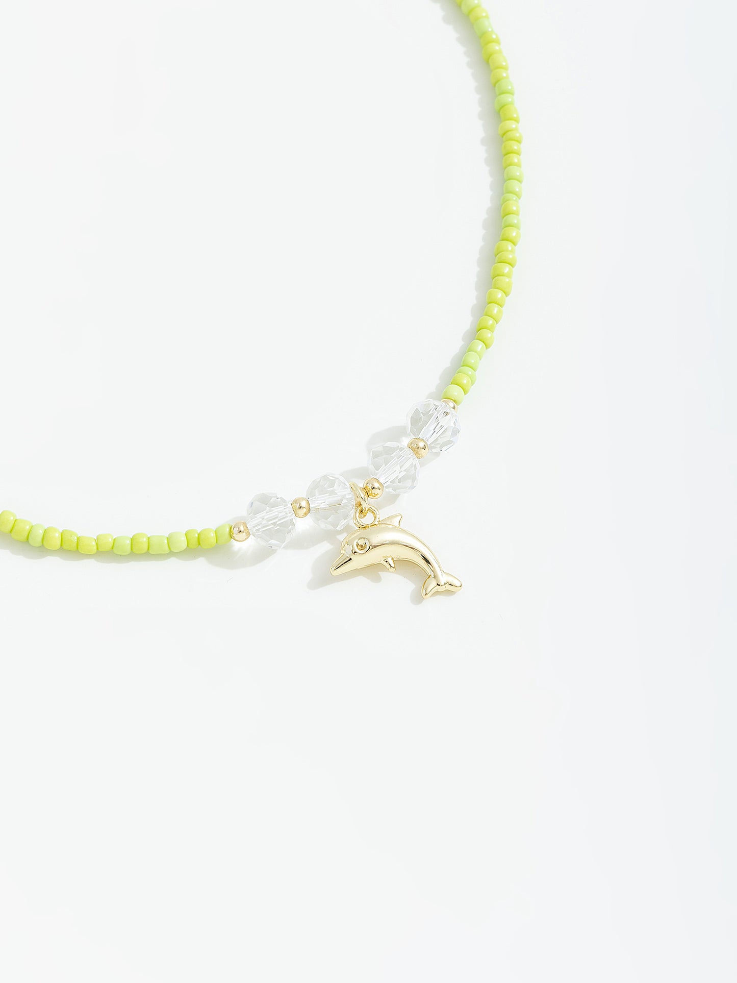 שרשרת דולפין