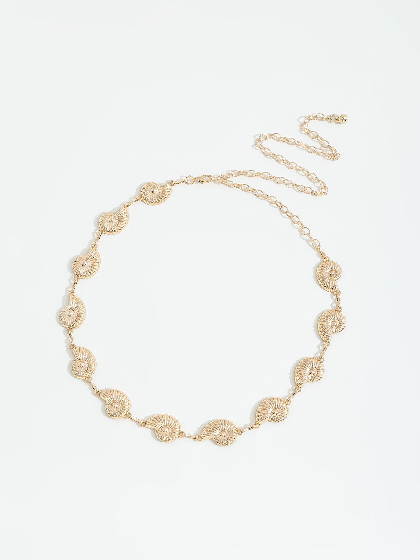 חגורת מותן צדפים