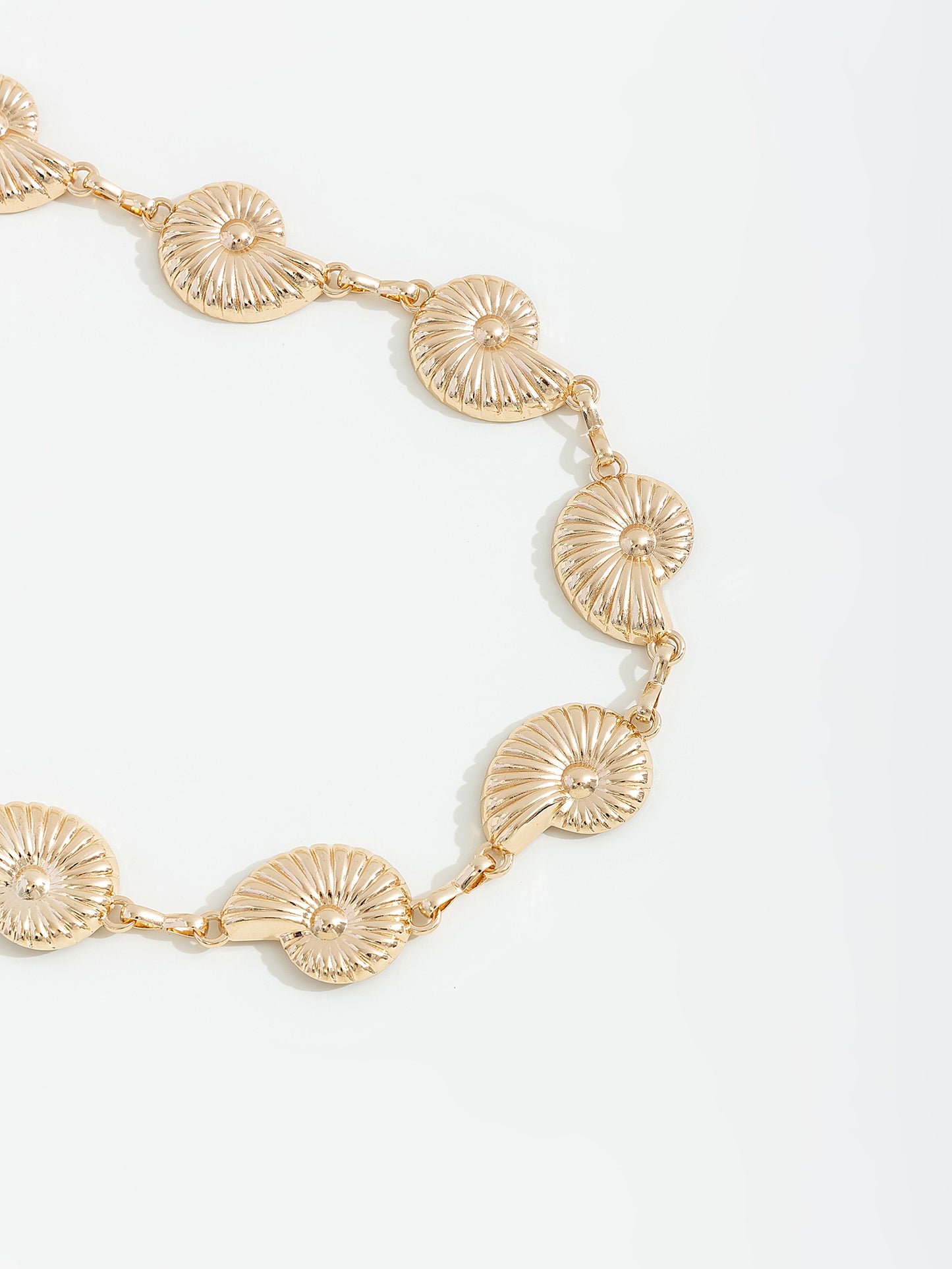 חגורת מותן צדפים